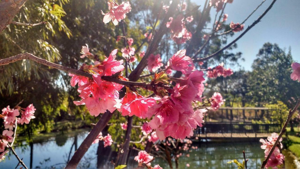 Fazenda Sakura Brotas Exterior foto